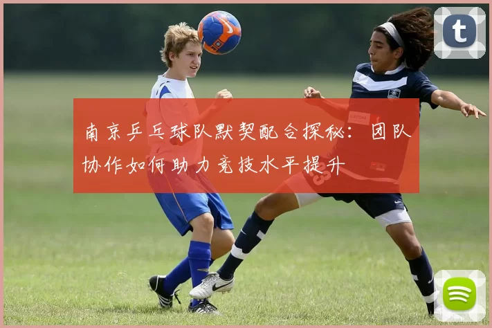南京乒乓球队默契配合探秘：团队协作如何助力竞技水平提升