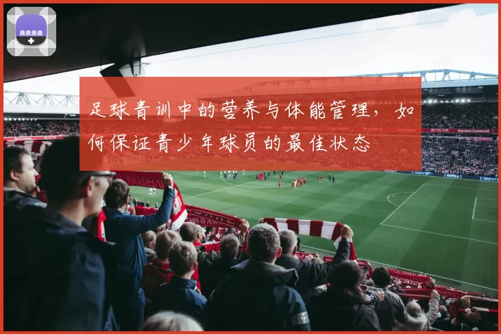 足球青训中的营养与体能管理，如何保证青少年球员的最佳状态