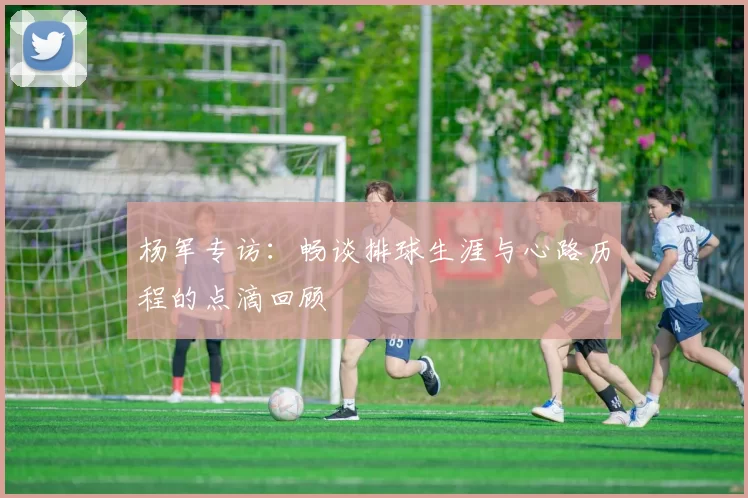 杨军专访：畅谈排球生涯与心路历程的点滴回顾