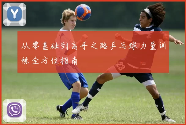 从零基础到高手之路乒乓球力量训练全方位指南