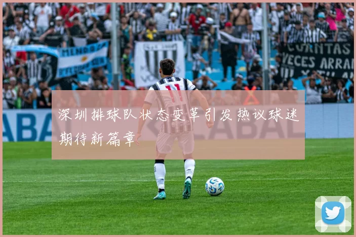 深圳排球队状态变革引发热议球迷期待新篇章