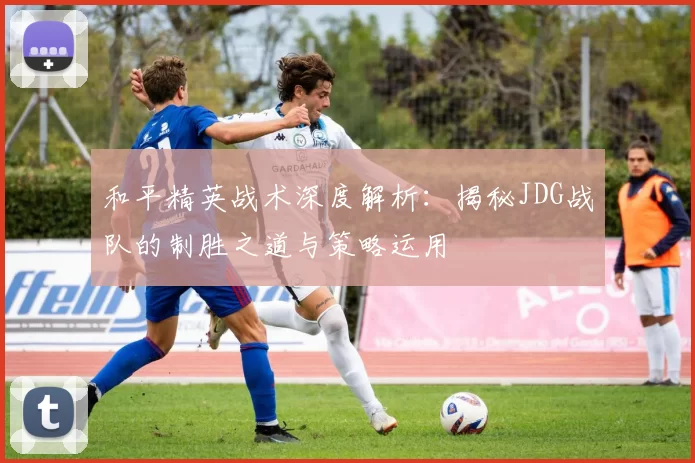 和平精英战术深度解析：揭秘JDG战队的制胜之道与策略运用