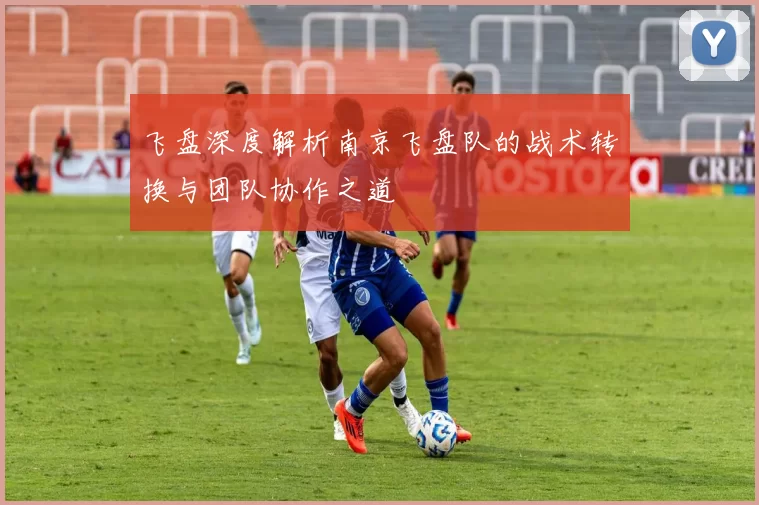 飞盘深度解析南京飞盘队的战术转换与团队协作之道