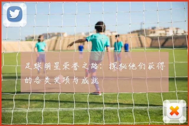 足球明星荣誉之路：探秘他们获得的各类奖项与成就