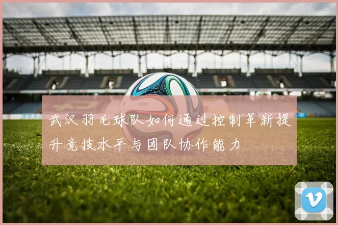 武汉羽毛球队如何通过控制革新提升竞技水平与团队协作能力